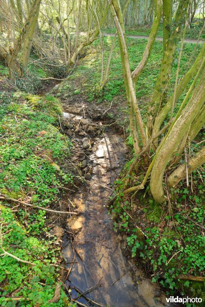 Natuurreservaat Broekelzen