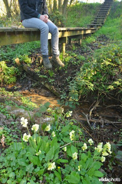 Natuurreservaat Broekelzen