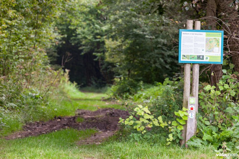 Wandelbord