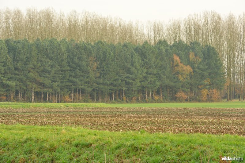 Vallei van de Grote Nete
