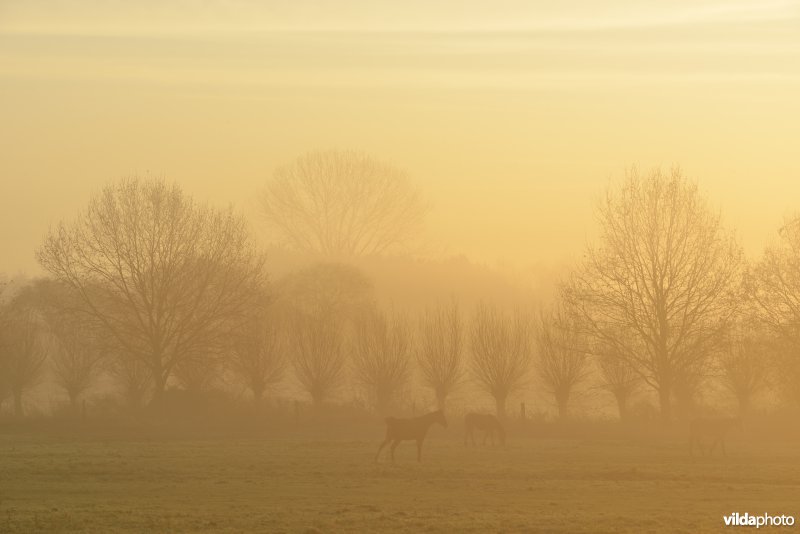 Vallei van de Grote Nete