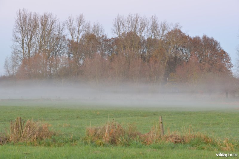 Grote Netevallei