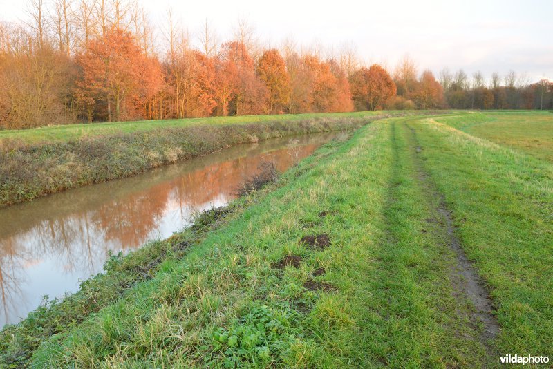 Vallei van de Grote Nete