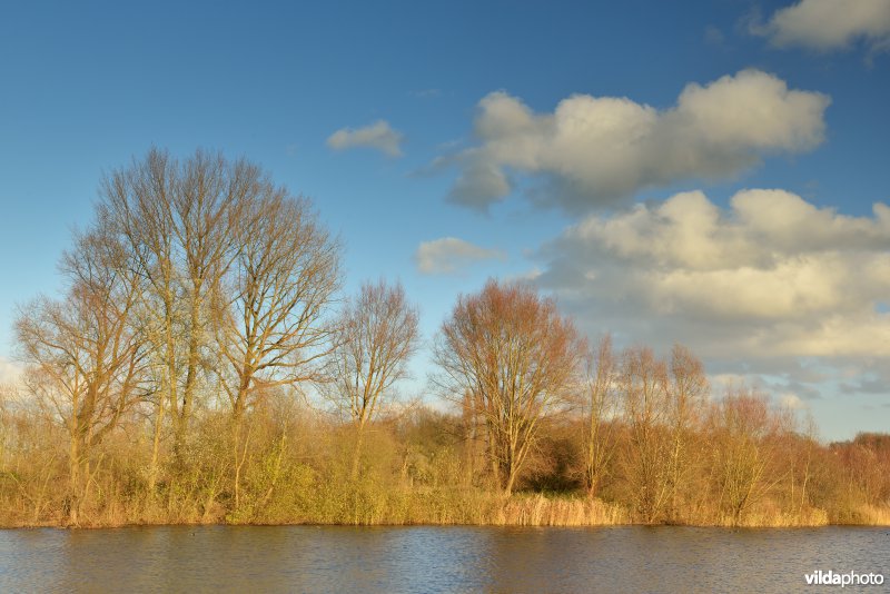 Grote Vijver (Noord Deel 1)