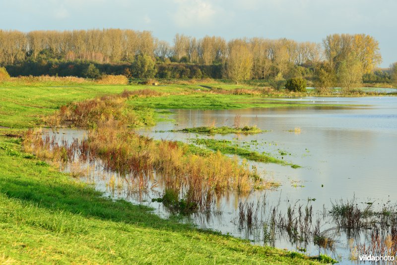 Overstroomde Paardeweide