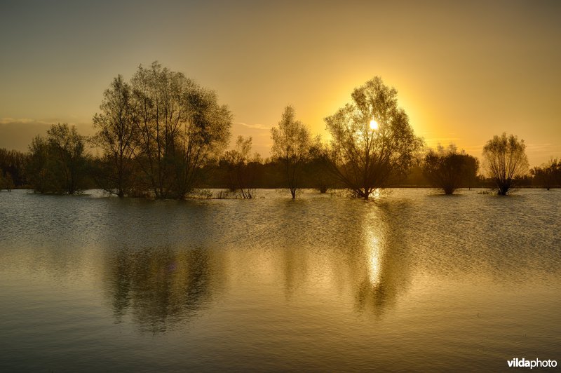 Overstroomde Paardeweide