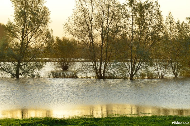 Overstroomde Paardeweide