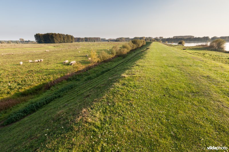 Dijk naast het Schulensmeer