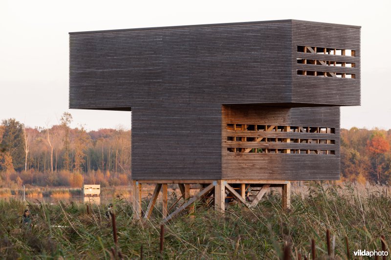 Vogelkijktoren in het Vinne