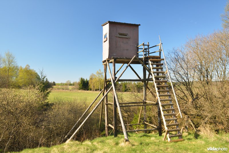 Jachthut in de vallei van de Holzwarche