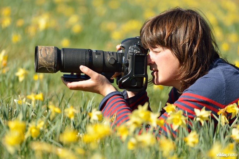 Narcissen fotograferen