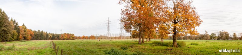 Weilanden aan het Munsterbos