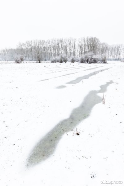 Ondergesneeuwd reliëfrijk grasland