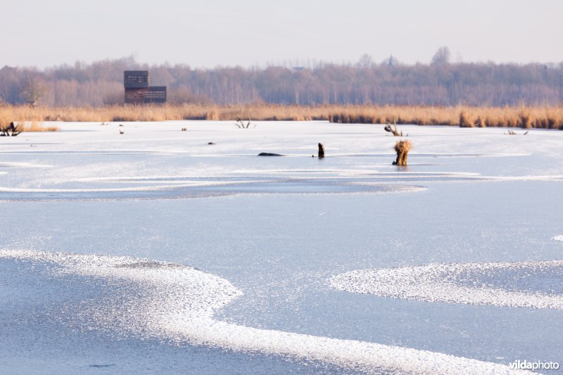 Patronen in sneeuw en ijs op het Vinne