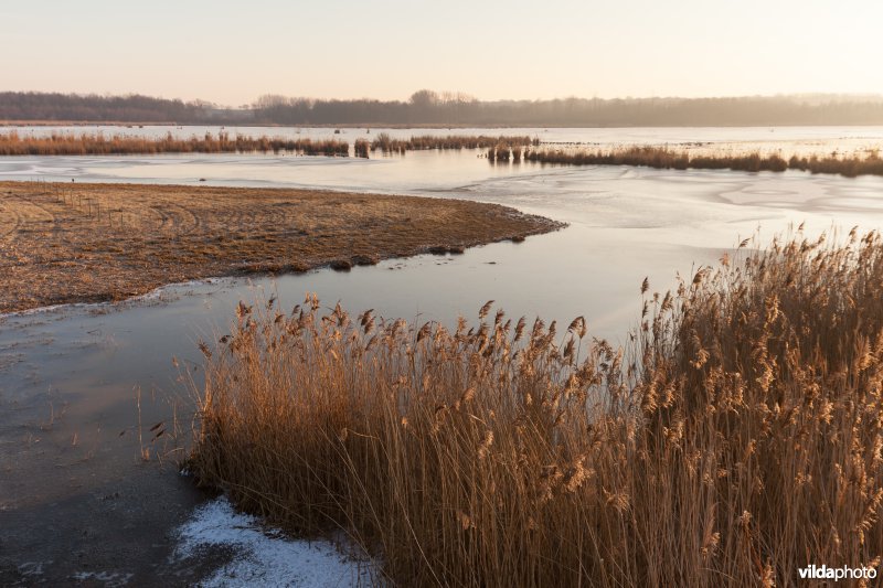 Bevroren meer bij zonsopgang