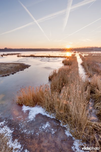 Bevroren meer bij zonsopgang