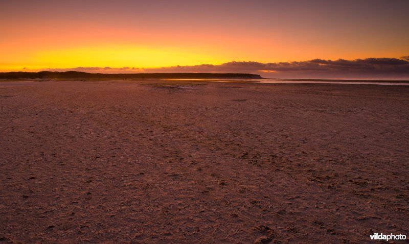 De Slufter, Texel