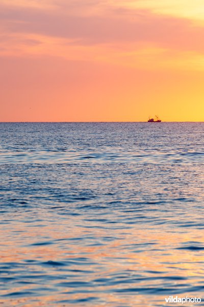 Vissersboot bij zonsondergang