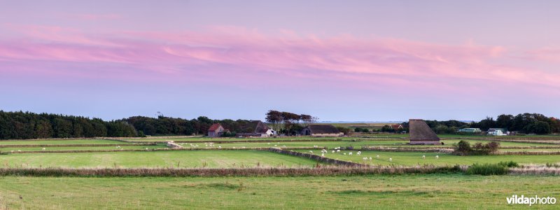 Tuunwallen na zonsondergang