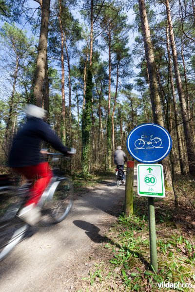 Fietsen in de Antwerpse Kempen