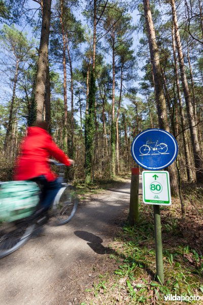 Fietsen in de Antwerpse Kempen