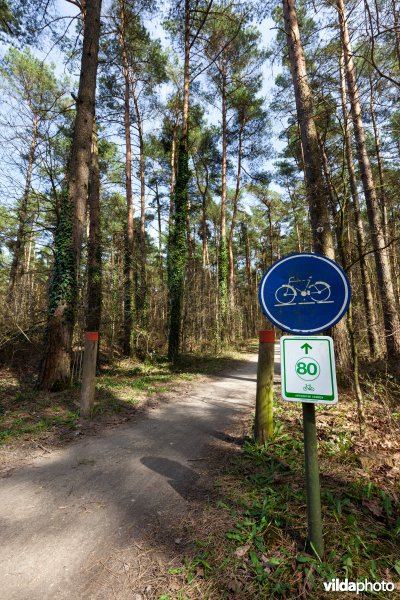 Fietsen in de Antwerpse Kempen