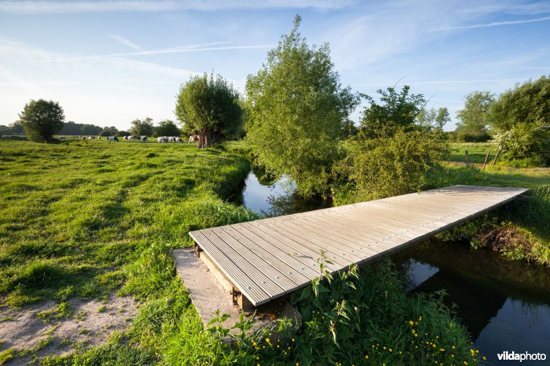 Brugje over de Weesbeek