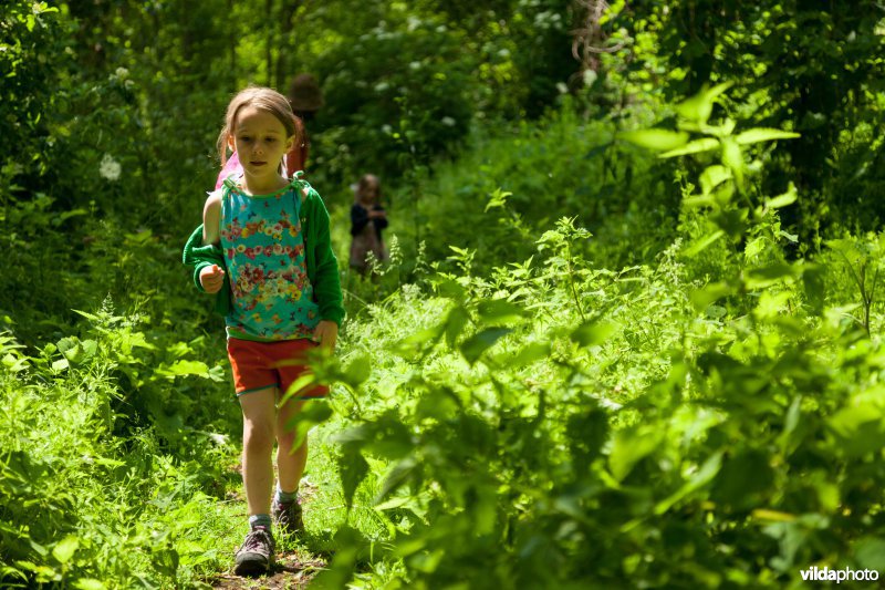 Wandelen in Broek De Naeyer