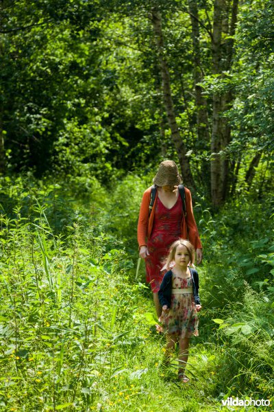 Wandelen in Broek De Naeyer