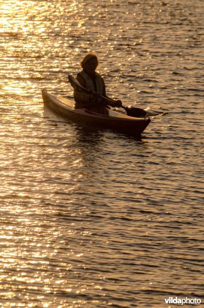 Kanovaren op de IJssel