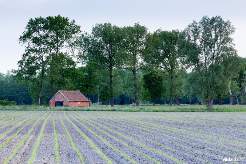 Schuurtje
