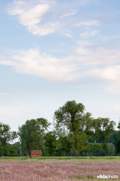 Schuurtje