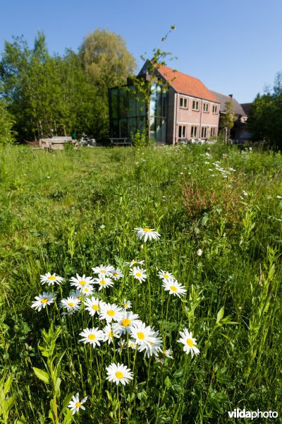 Bezoekerscentrum Grote Netewoud