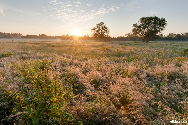 Zonsopgang