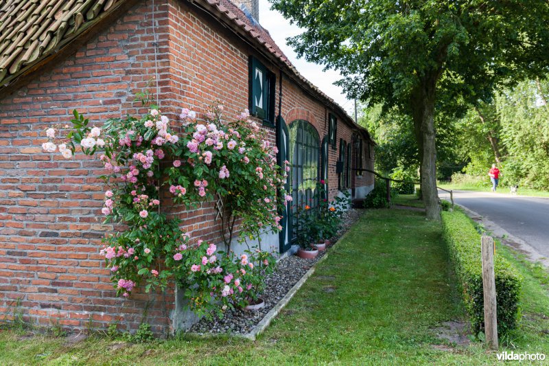 Oude hoeve