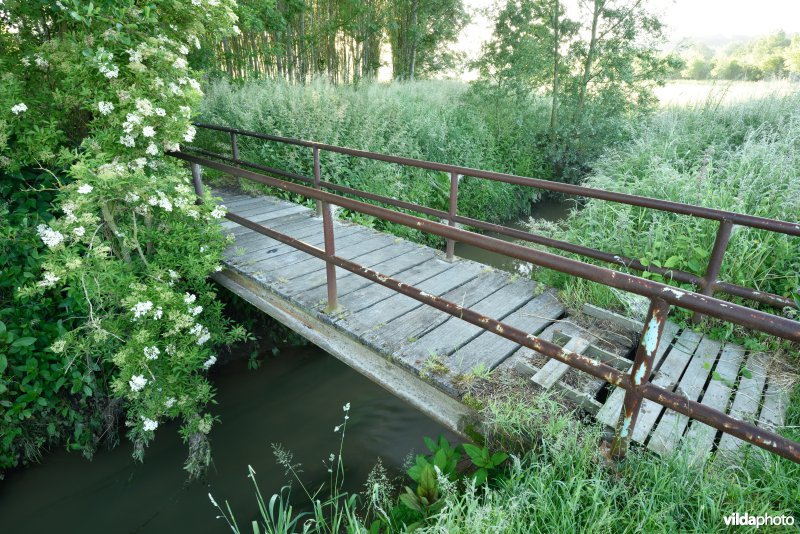 Natuurreservaat Jansveld langs de Zwalm