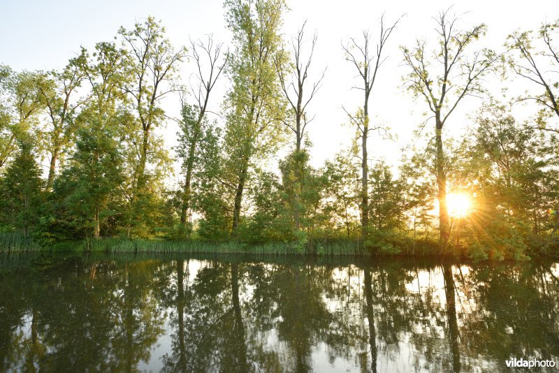 Natuurreservaat Bourgoyen