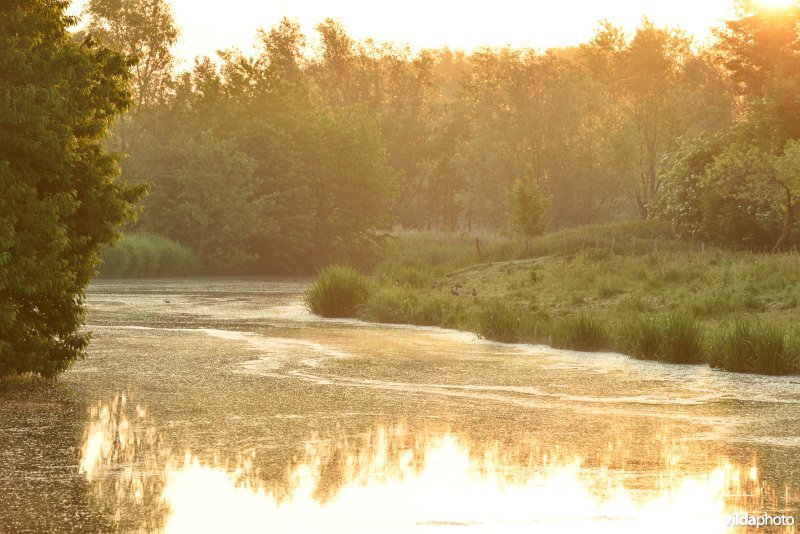 Natuurreservaat Bourgoyen