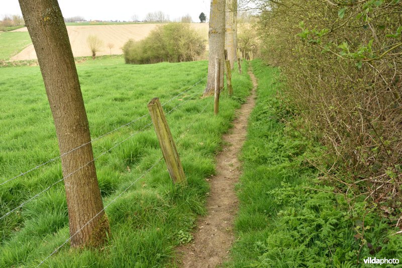 Parkbos-Uilenbroek