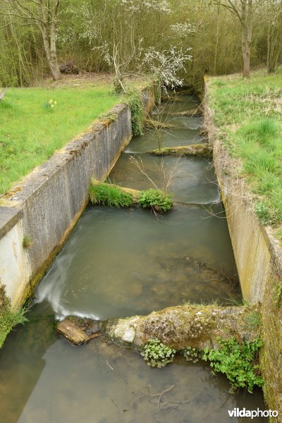 Vistrap op de Zwalm