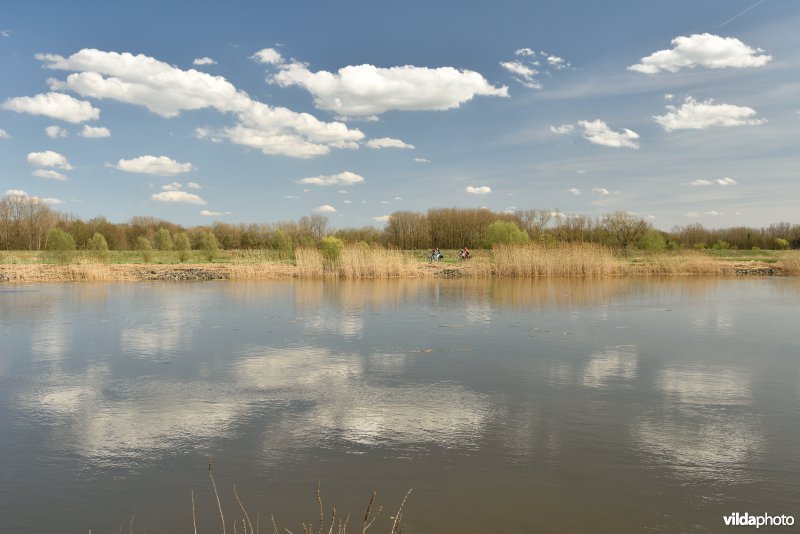 Schelde te Wichelen