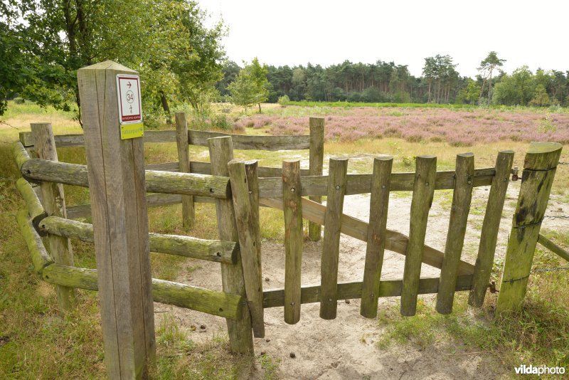 Natuurreservaat De Liereman