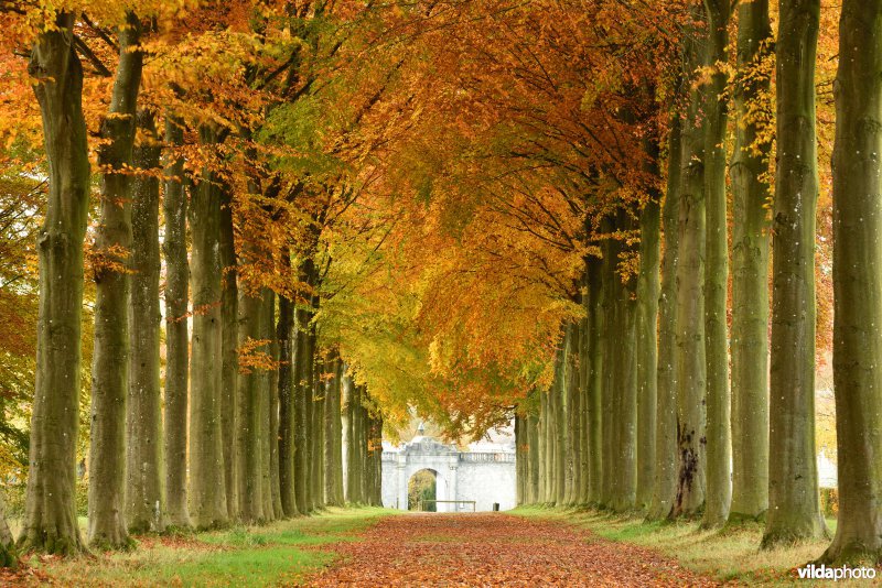 Vallei van de Hoyoux