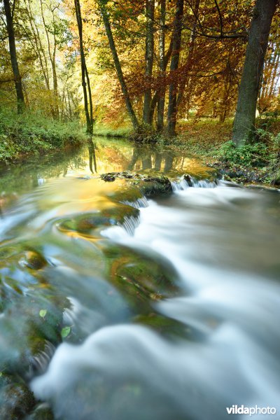 Vallei van de Hoyoux