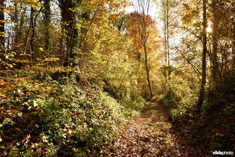 Vallei van de Hoyoux