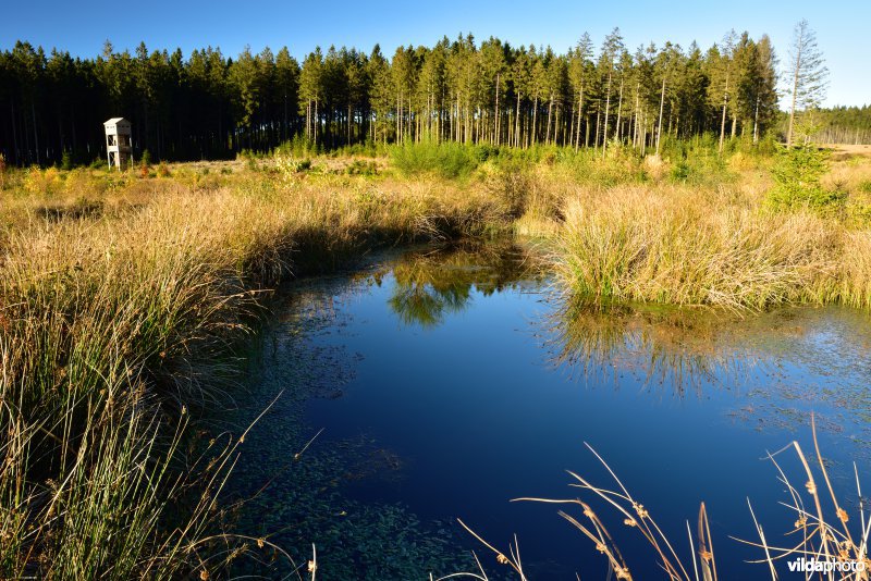 Plateau des Tailles