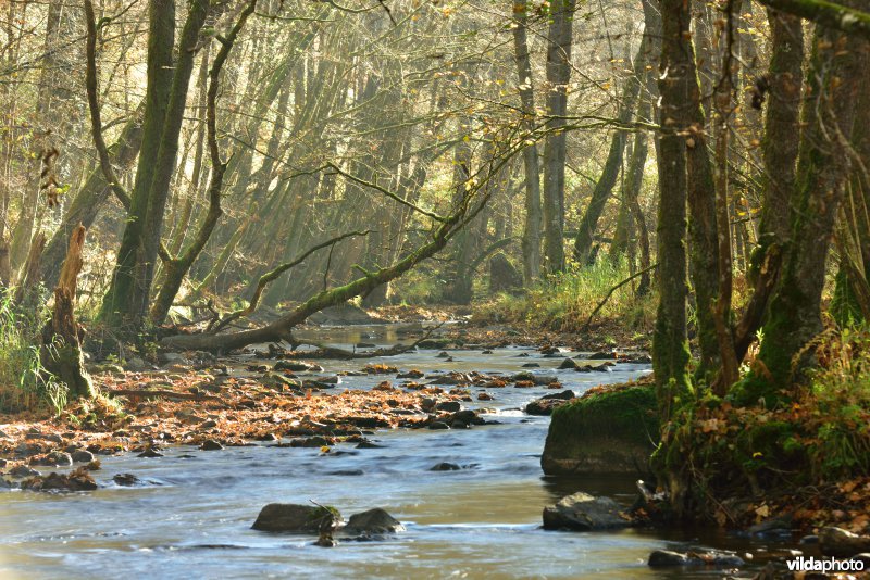 Vallei van de Houille