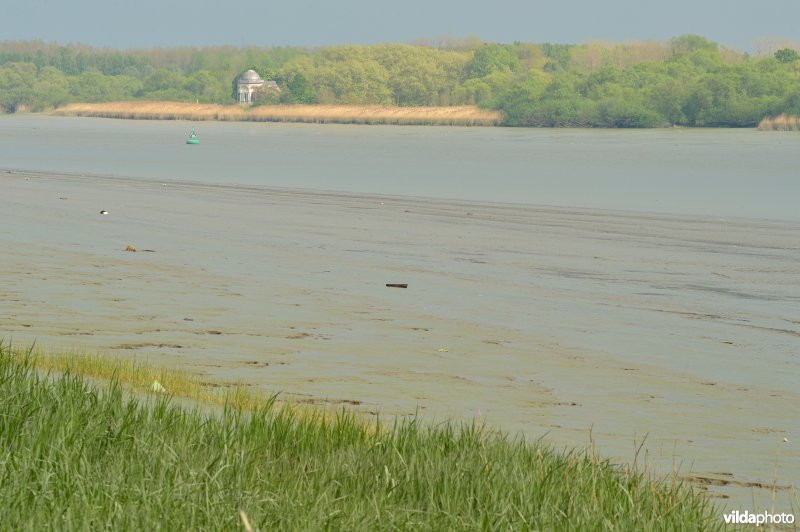 Scheldeschorren Schouselbroek