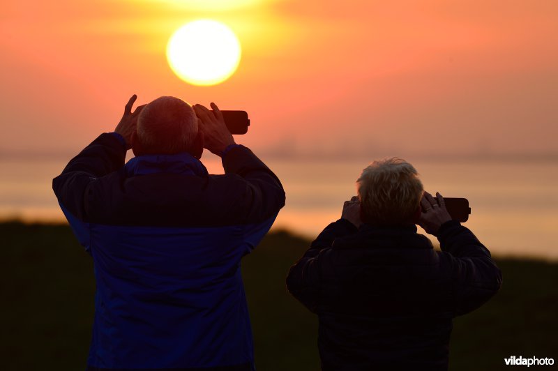 Zonsondergang aan de Zeeschelde