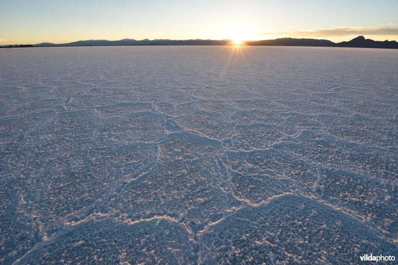 Bonneville zoutvlakte